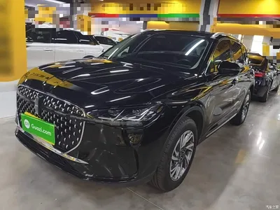 2023 Lincoln Adventurer 2.0T 2WD Zunxiang Edition, фото 1, лот 10674455