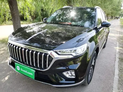 2022 Hongqi HS5 Facelift 2.0T Smart Flag Enjoyment Edition, фото 2, лот 10611494
