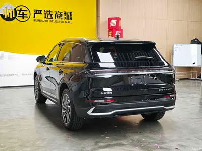 2023 Lincoln Adventurer 2.0T 2WD Zunya Edition, фото 4, лот 10357612