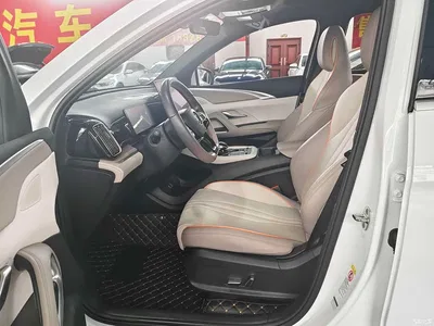 2023 BYD Song Pro New Energy Champion Edition DM-i 110KM Excellence, фото 4, лот 10272954