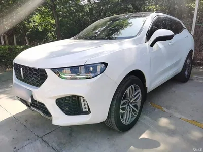 2017 WEY VV5 2.0T Super Luxury Model, фото 1, лот 10452294