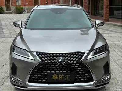 2020 Lexus RX Facelift 300 2WD Comfort Edition, фото 2, лот 10318556