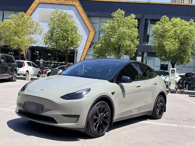 2022 Tesla Model Y Rear-Wheel Drive Version, фото 2, лот 10370021