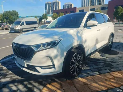 2020 Oshan X7 1.5T Auto Luxury Model, фото 2, лот 11565594