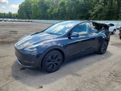 2025 TESLA MODEL Y, фото 1, лот 10854639