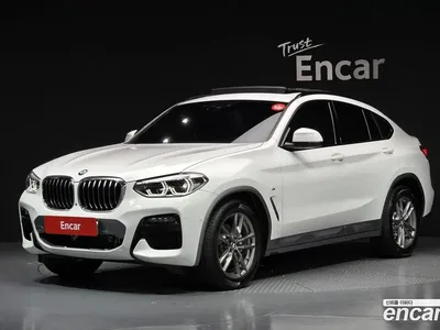 2020 BMW X4 xDrive20i M Sport X, фото 1, лот 10165676