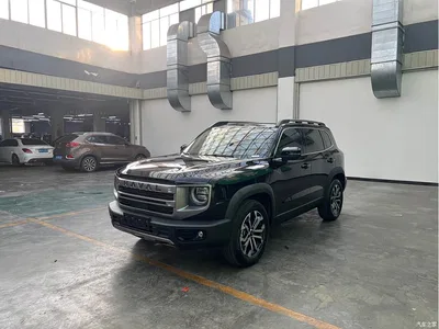 2024 Haval Big Dog 1.5T DCT Border Collie Edition, фото 1, лот 10768881