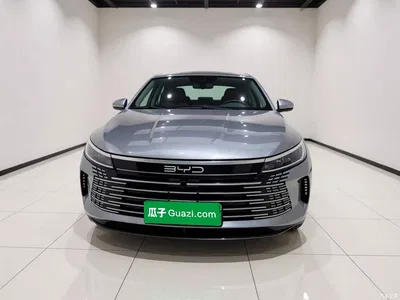 2024 BYD Destroyer 05 Glory Edition DM-i 55KM Luxury, фото 2, лот 10389900