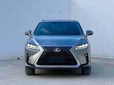 2016 Lexus RX 300 4WD Elegance Edition (China V), фото 2, лот 10405370