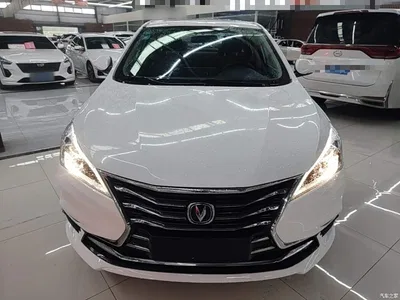 2019 Changan Eado DT 1.6L Manual Relax China VI, фото 3, лот 10253359
