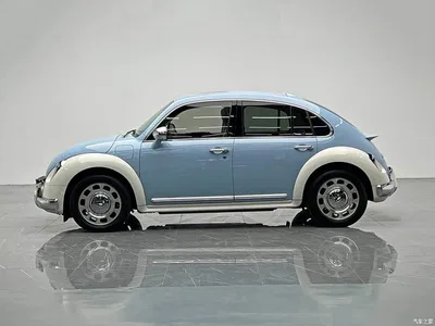 2022 Ora Ballet Cat 401km Nutcracker Edition, фото 3, лот 10606402
