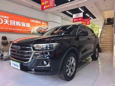 2021 Haval H6 National Trend Edition 1.5GDIT Automatic Champion Edition, фото 3, лот 10282994
