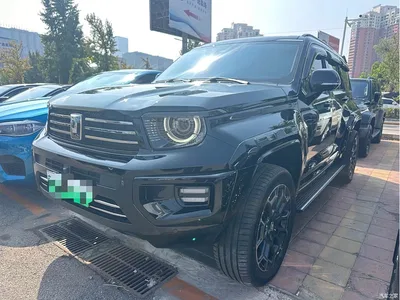 2024 Tank 700 New Energy Hi4-T Extreme Edition, фото 1, лот 11081408