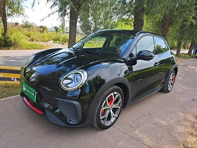 2022 Ora Good Cat GT Model Mulan Edition 401km Standard Range, фото 2, лот 10836515