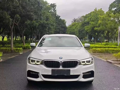 2018 BMW 5 Series 530Li xDrive M Sport Package, фото 2, лот 11589110