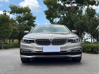 2019 BMW 5 Series 530Li Leading Luxury Package, фото 2, лот 10768837