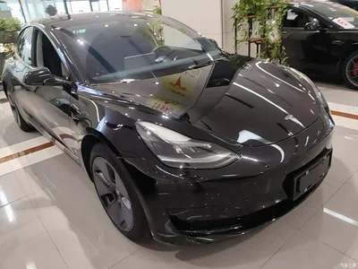 2021 Tesla Model 3 Standard Range Rear-Wheel Drive Upgrade 3D6, фото 4, лот 11241869