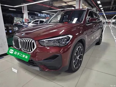 2020 BMW X1 sDrive25Li Leading Model, фото 1, лот 10467830