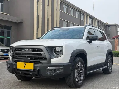 2022 Haval Big Dog 2.0T DCT 4WD Chinese Rural Dog Hunting Edition, фото 1, лот 10889236