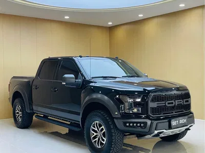 2019 Ford F-150 Raptor 3.5T Raptor Performance Enhanced Edition, фото 3, лот 10298616