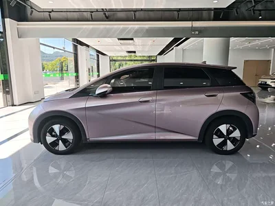 2023 BYD Dolphin 420km Fashion Edition, фото 4, лот 10253884