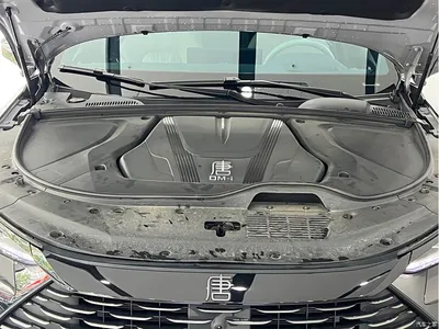 2025 BYD Tang New Energy Smart Driving Edition DM-i 115KM Flagship, фото 4, лот 10273914