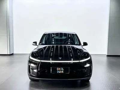 2025 Tesla Model Y Rear-Wheel Drive, фото 2, лот 10400411