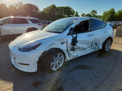 2023 TESLA MODEL Y, фото 1, лот 10851337