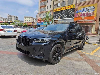 2023 BMW X3 xDrive30i Premium M Night Package, фото 1, лот 10576699
