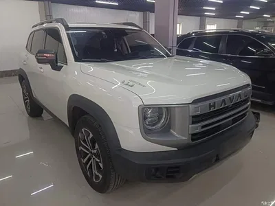 2024 Haval Big Dog Model 1.5T DCT Labrador Edition, фото 4, лот 10361279