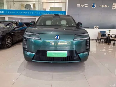 2025 Denza N8L Standard, фото 3, лот 10346328