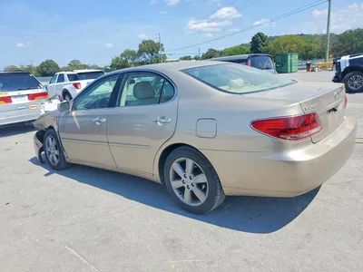 2005 LEXUS ES 330, фото 2, лот 10848609
