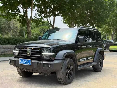 2021 Tank 300 Off-road Version 2.0T Conqueror, фото 1, лот 10344267