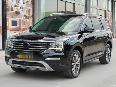 2017 GAC Trumpchi Trumpchi GS8 320T 2WD Luxury Smart Connect (7-seater), фото 1, лот 11217491