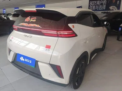 2025 BYD Seagull Smart Drive Edition 405km Free Edition, фото 3, лот 10252894