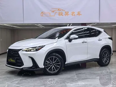 2023 Lexus NX 350h FWD Dynamic Edition, фото 1, лот 10312093