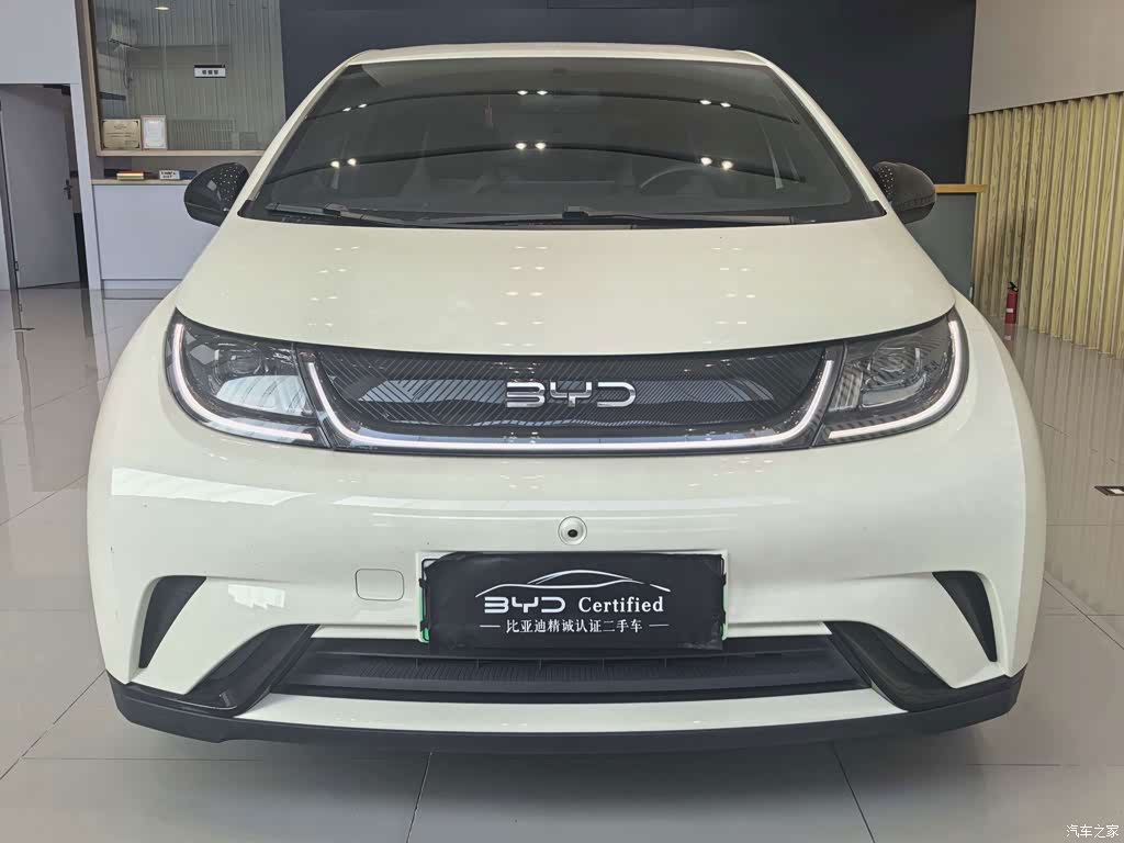 2025 BYD Dolphin 420km Freedom Edition, фото 2, лот 11220018