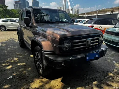 2023 Tank 300 Urban Edition 2.0T Very Stylish, фото 3, лот 11017315