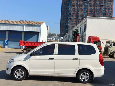 2020 Wuling Motors Wuling Hongguang 1.2L S Basic China VI LSI, фото 4, лот 11564963