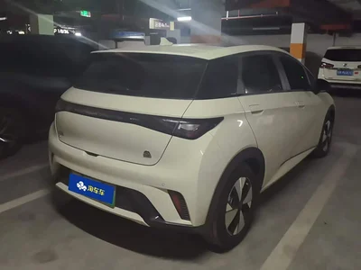 2023 BYD Dolphin 420km Fashion Edition, фото 3, лот 10257961