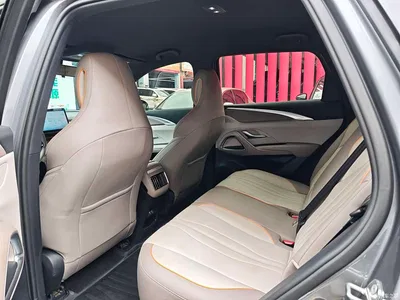 2024 BYD Song Pro New Energy Glory Edition DM-i 71KM Pilot, фото 3, лот 10666499
