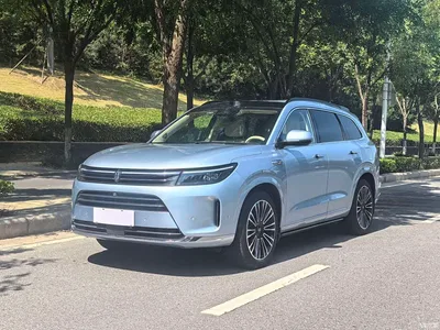2024 AITO Wenjie AITO M7 1.5T Smart AWD Max Edition 5-Seater, фото 1, лот 11228376