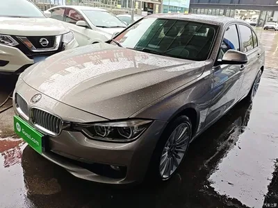 2018 BMW 3 Series 320Li Fashion Style, фото 1, лот 10457444