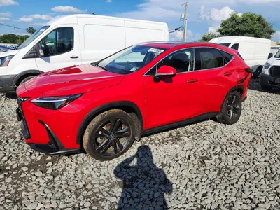 2024 LEXUS NX 450H+ BASE, фото 1, лот 10901209