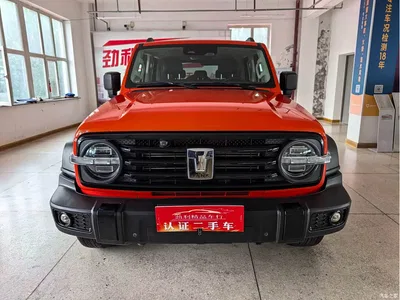 2021 Tank 300 Off-road Edition 2.0T Challenger, фото 2, лот 10344971