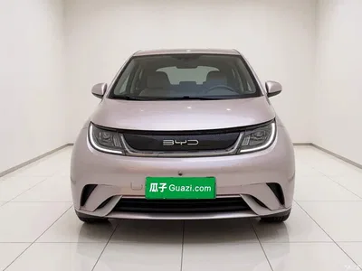 2021 BYD Dolphin 405km Freedom Edition, фото 2, лот 11191129