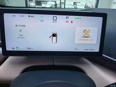 2025 BYD Seagull Smart Driving Edition 405km Flying Edition, фото 3, лот 11446857