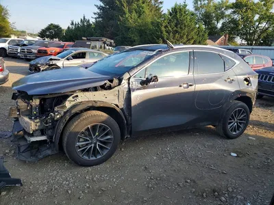 2024 LEXUS NX 350 PREMIUM, фото 1, лот 10846648