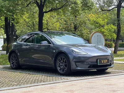 2020 Tesla Model 3 Standard Range Rear-Wheel Drive Upgrade, фото 3, лот 11211136