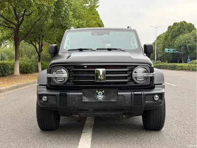 2021 Tank 300 Off-road Version 2.0T Conqueror, фото 2, лот 11134544